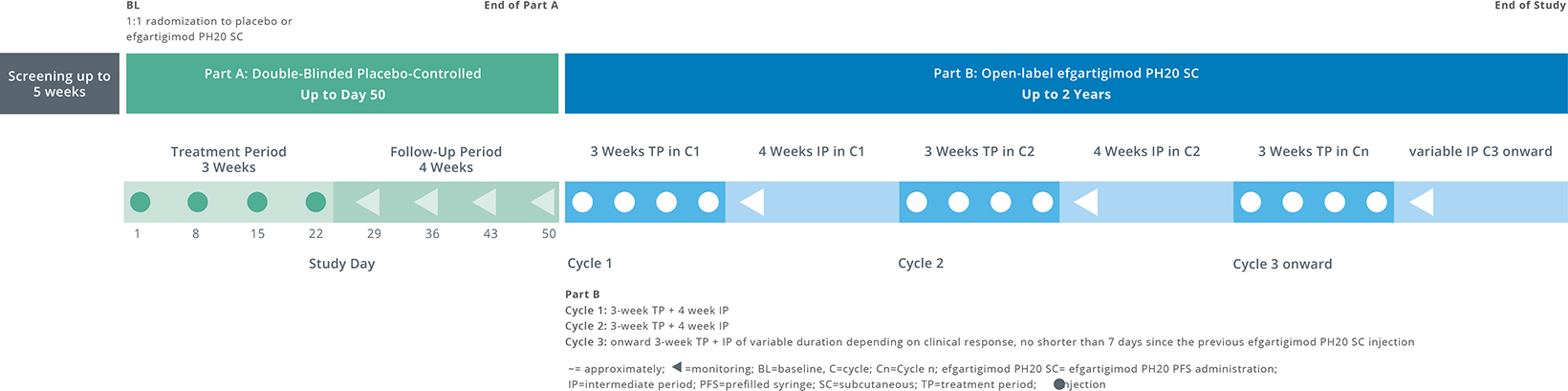 Clinical Tial Timeline